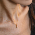 Carica l'immagine nella Galleria, Collana Con Iniziale Strass