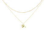 Carica l'immagine nella Galleria, Collana Doppia Con Pendente