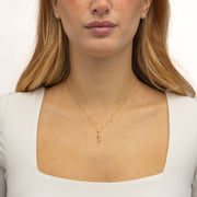 Collana Con Pendente Zirconato Porta Fortuna