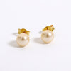 Orecchini Con Perla Da 6 MM