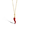 Collana Con Corno Grande