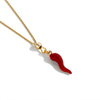 Collana Con Corno Piccolo