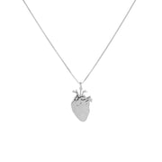 Collana Cuore Anatomico