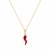 Collana Con Corno Piccolo